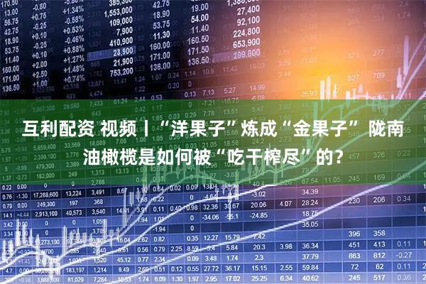 互利配资 视频丨“洋果子”炼成“金果子” 陇南油橄榄是如何被“吃干榨尽”的？