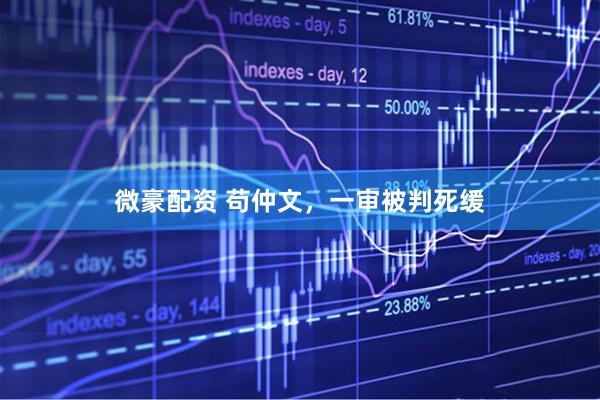 微豪配资 苟仲文，一审被判死缓