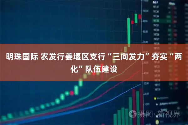 明珠国际 农发行姜堰区支行“三向发力”夯实“两化”队伍建设