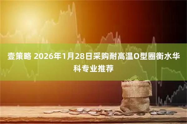 壹策略 2026年1月28日采购耐高温O型圈衡水华科专业推荐