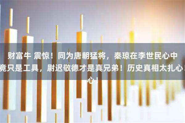 财富牛 震惊！同为唐朝猛将，秦琼在李世民心中竟只是工具，尉迟敬德才是真兄弟！历史真相太扎心！