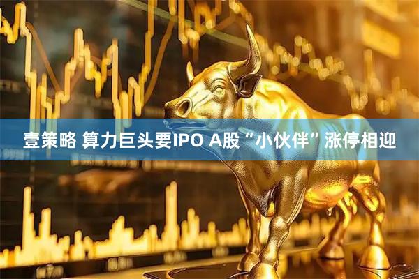 壹策略 算力巨头要IPO A股“小伙伴”涨停相迎